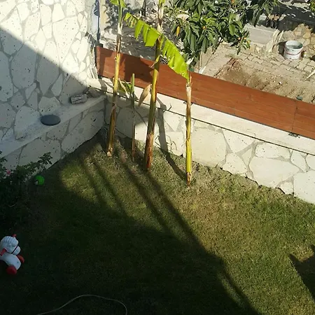 Cesmevillatuna *