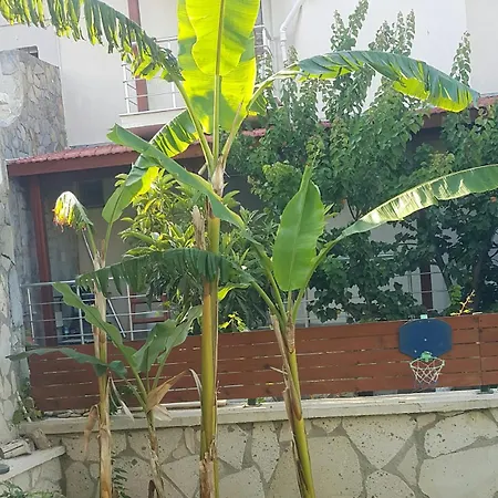 Cesmevillatuna